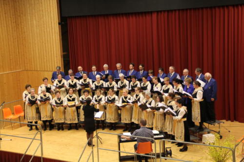 IMG 7736